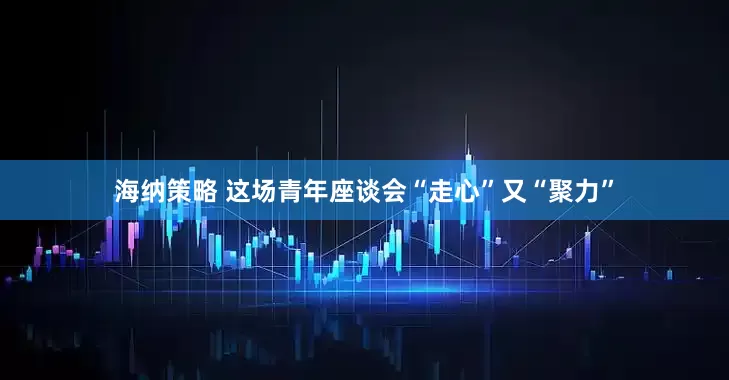 海纳策略 这场青年座谈会“走心”又“聚力”