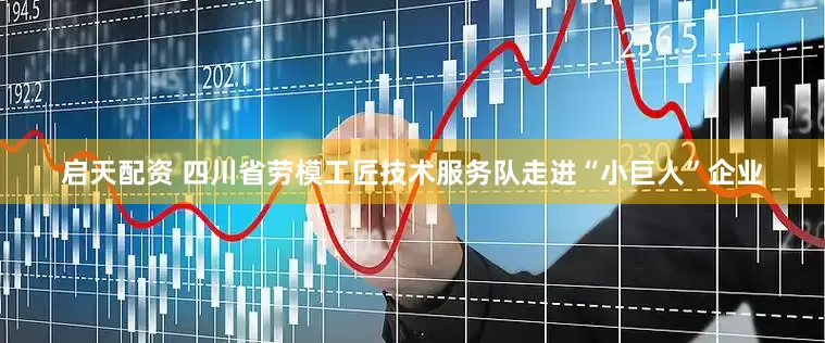 启天配资 四川省劳模工匠技术服务队走进“小巨人”企业