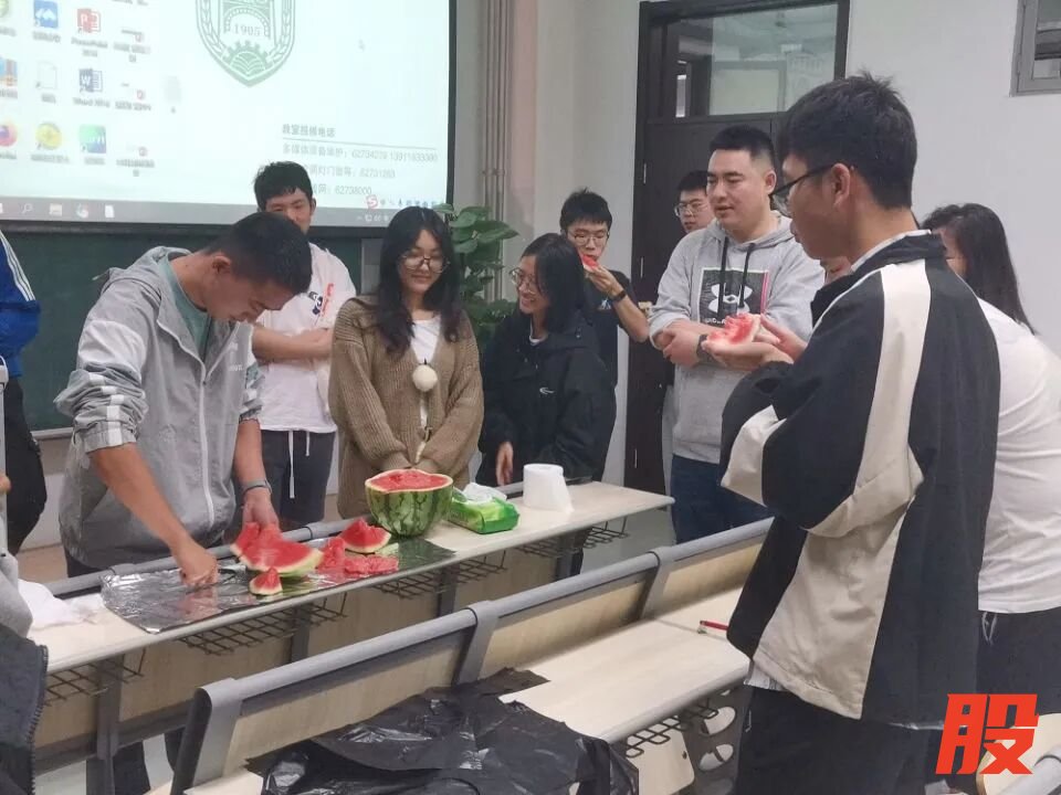 603.jpg